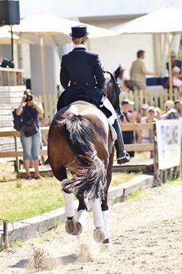 Foto: Falsterbo Horse Show