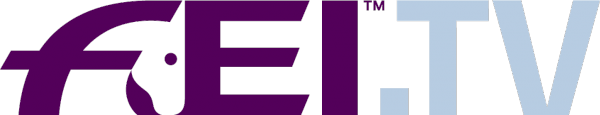 FEI TV